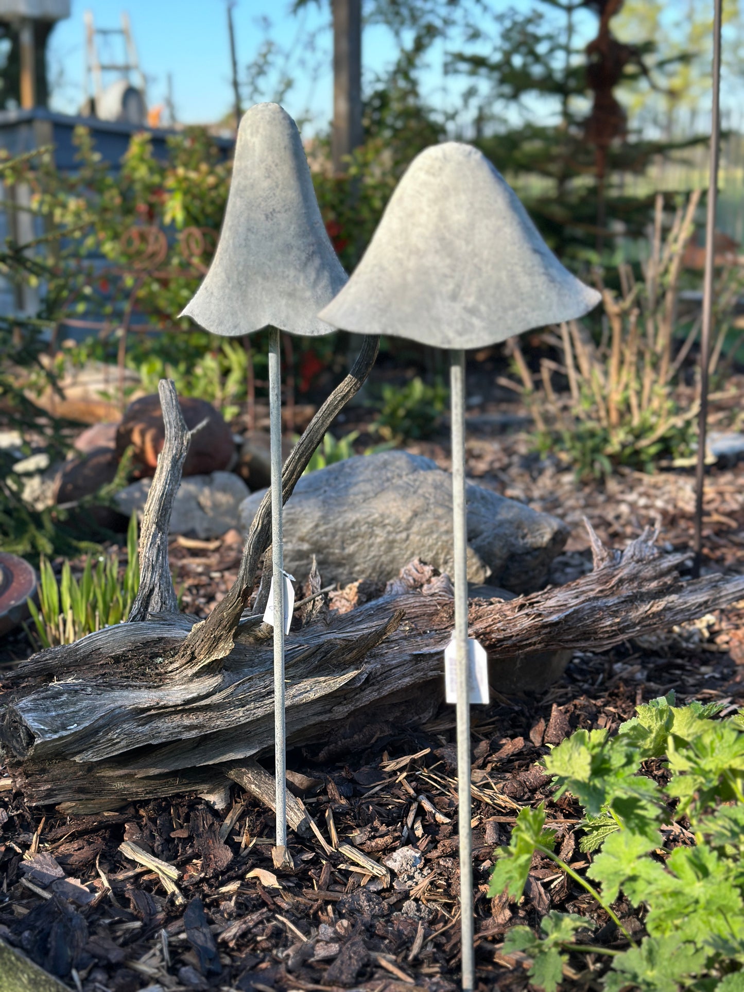 Pilz Set/ 2 H: 70cm.