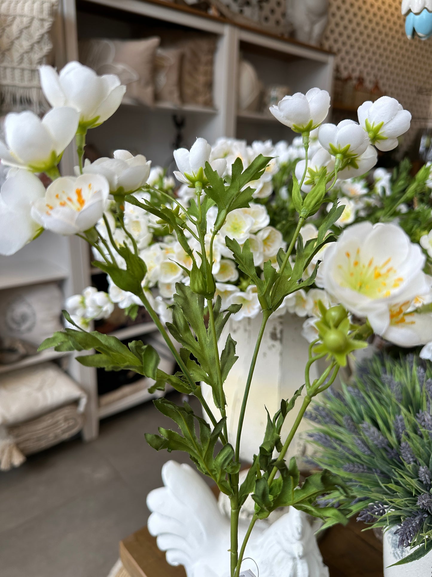 Blume, weiß