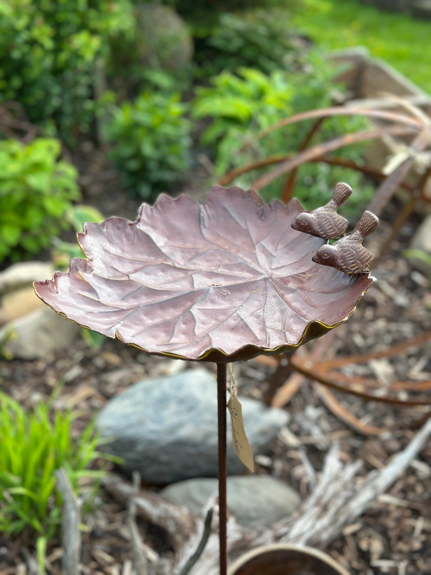 Blatt/ Vogelfutterhalter/ Stecker/ Wassertränke