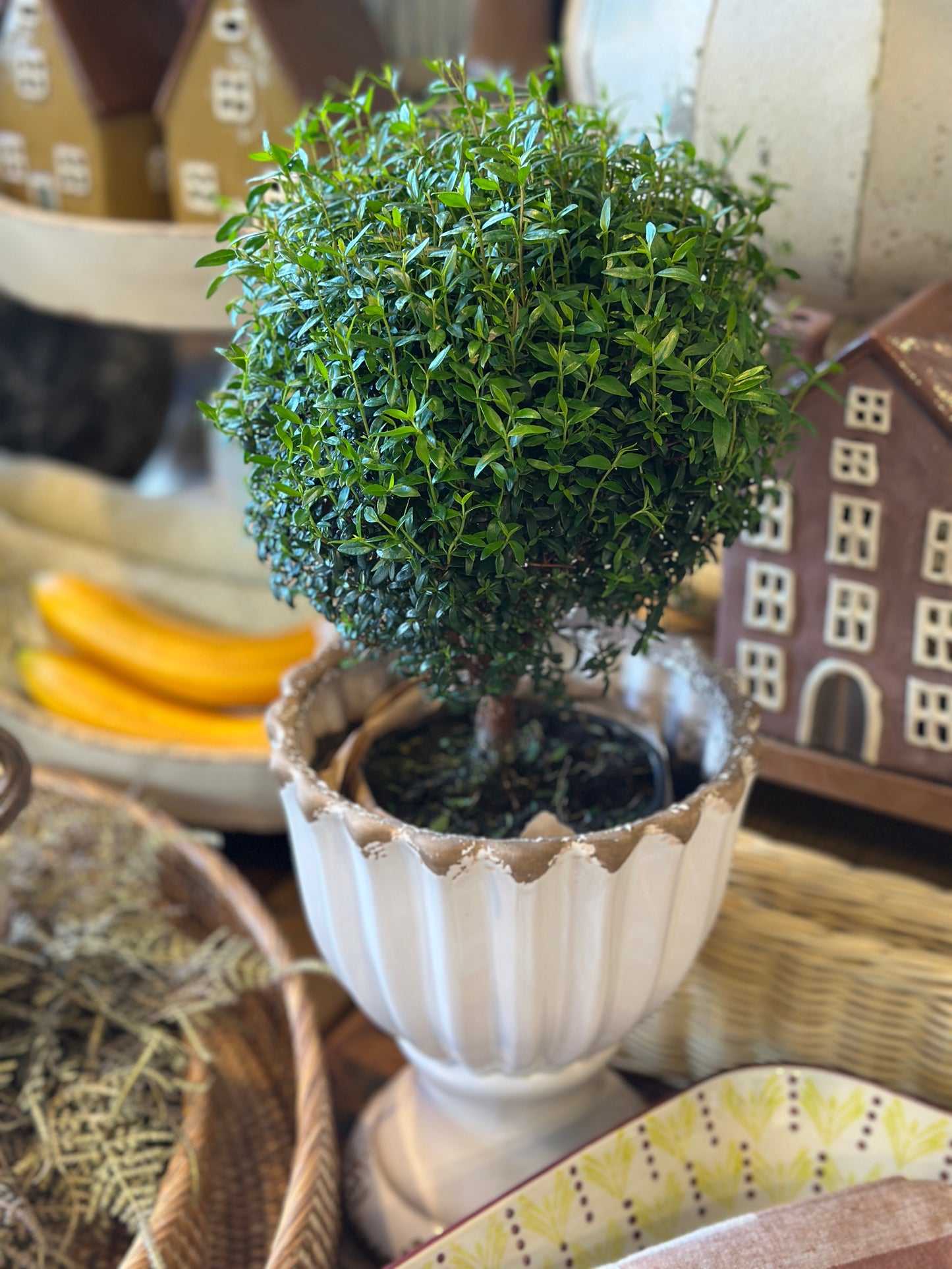 Blumentopf /Übertopf, Steingut Shabby