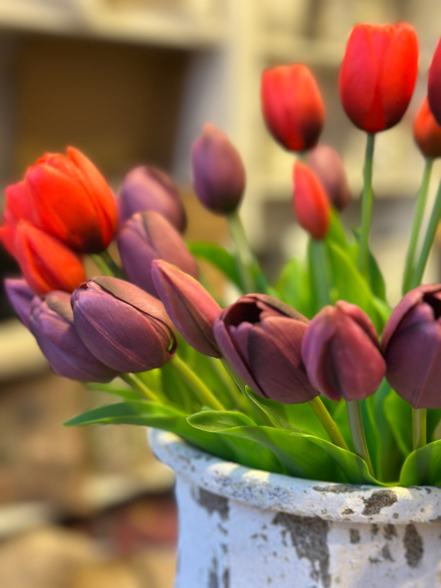 Blumen /Tulpen, Bund 5 Stück Lila