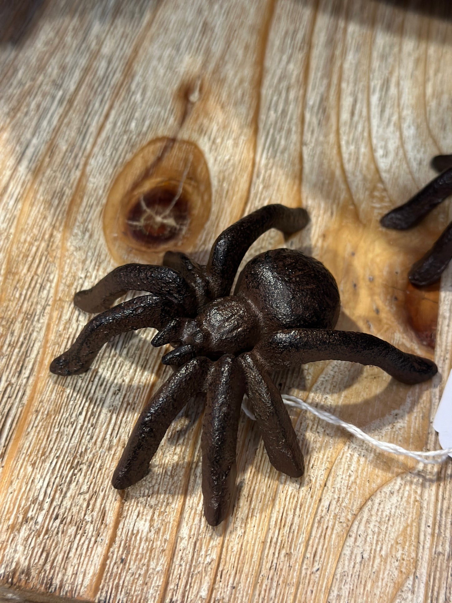 Spinne Eisen, dunkelbraun