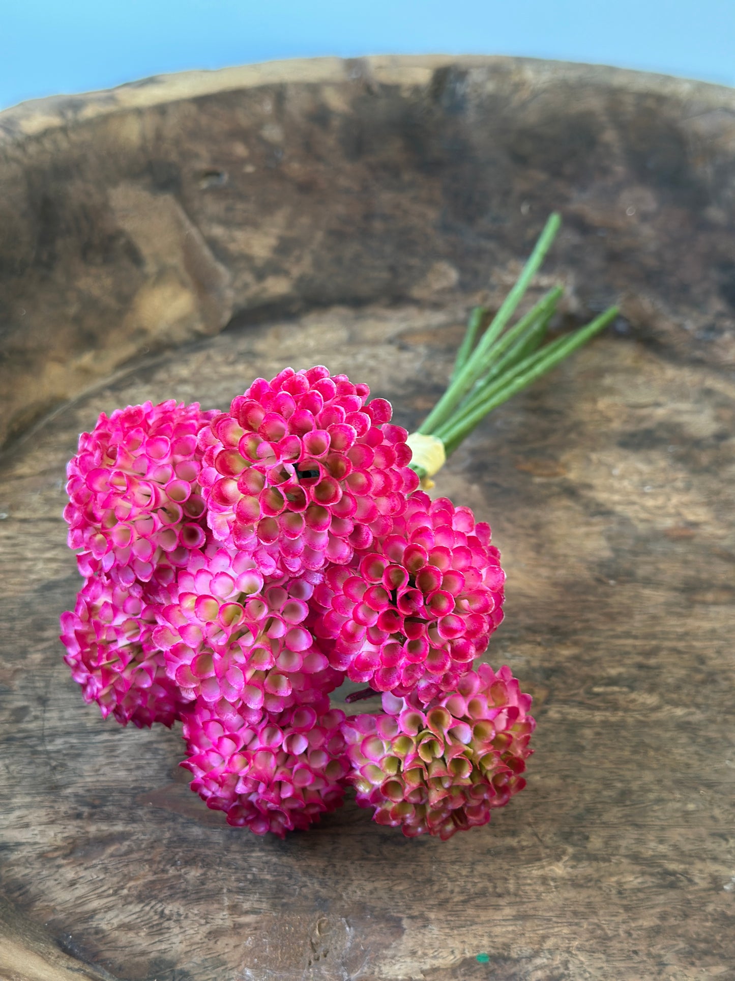 Dahlien Sträußchen, 7 Stück