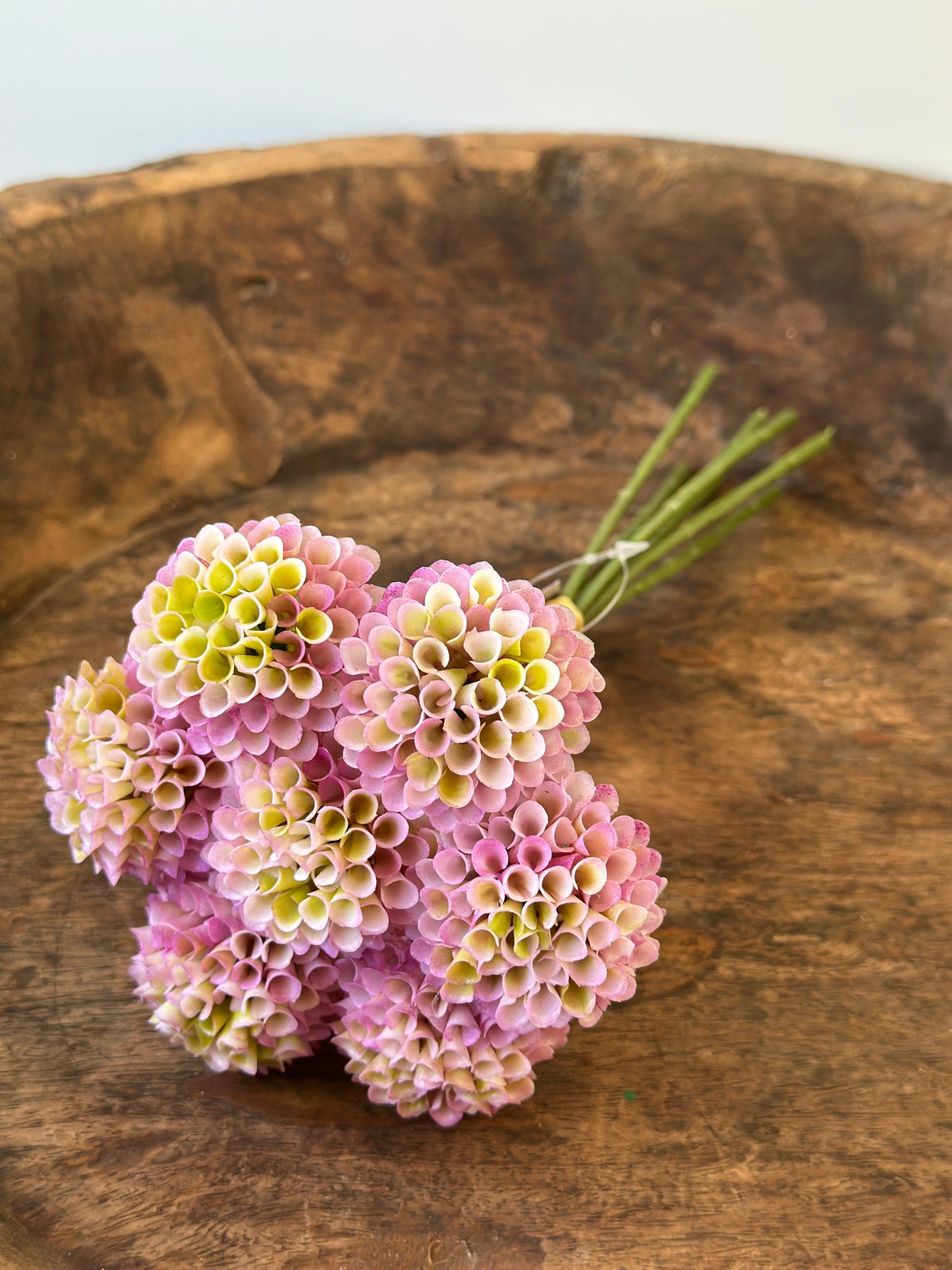 Dahlien Sträußchen, 7 Stück