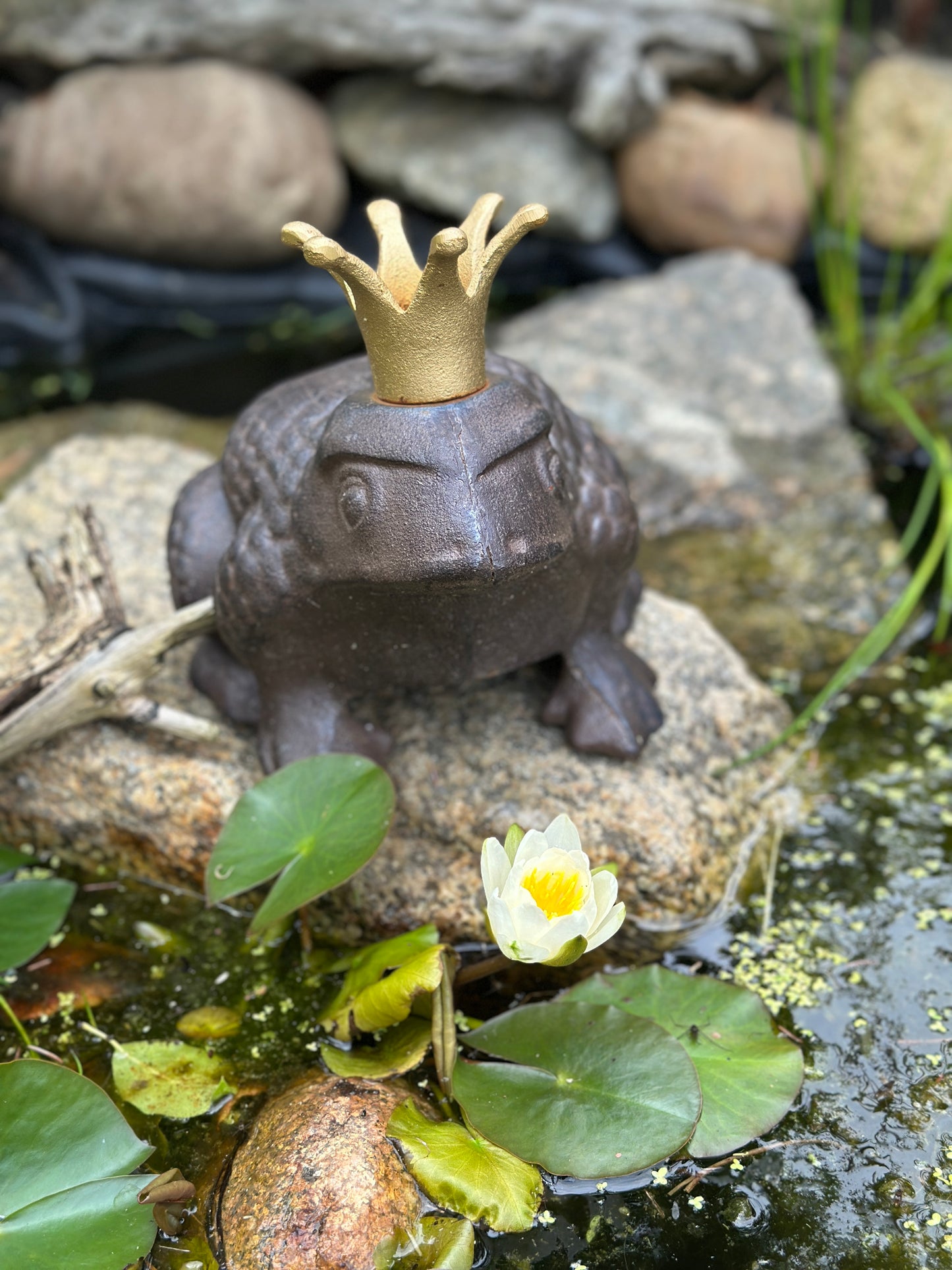 Frosch aus Gusseisen mit goldener Krone Gartenfigur Antik- braun. Rost