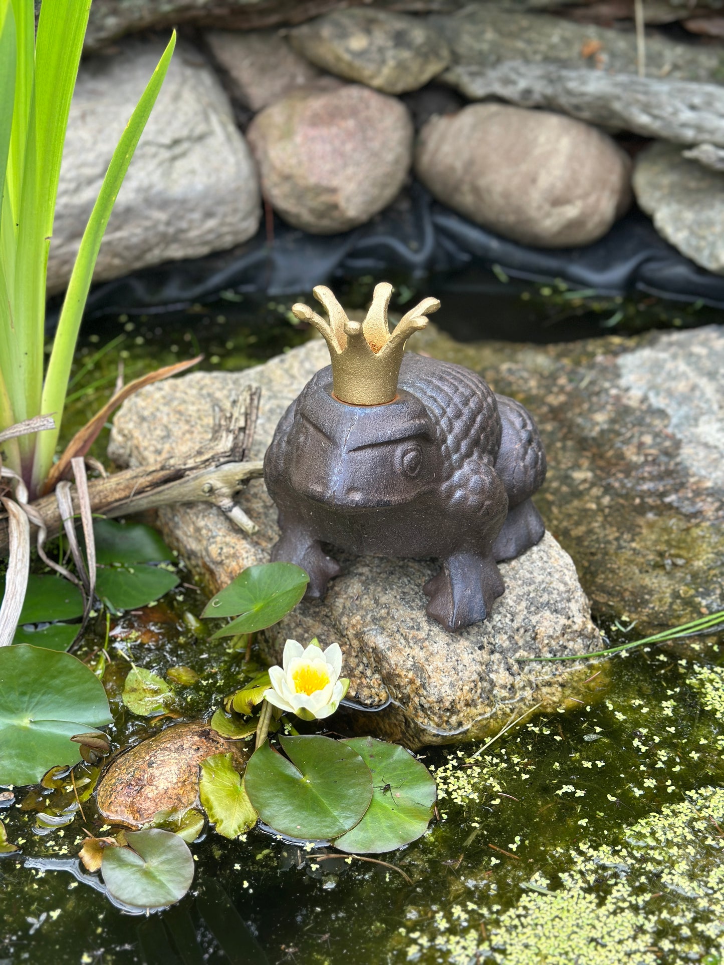 Frosch aus Gusseisen mit goldener Krone Gartenfigur Antik- braun. Rost