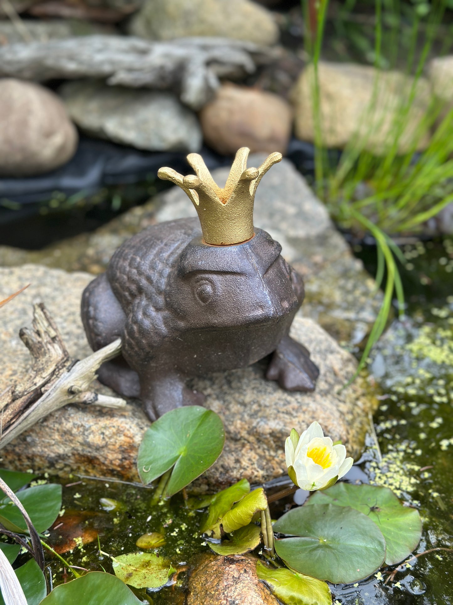 Frosch aus Gusseisen mit goldener Krone Gartenfigur Antik- braun. Rost