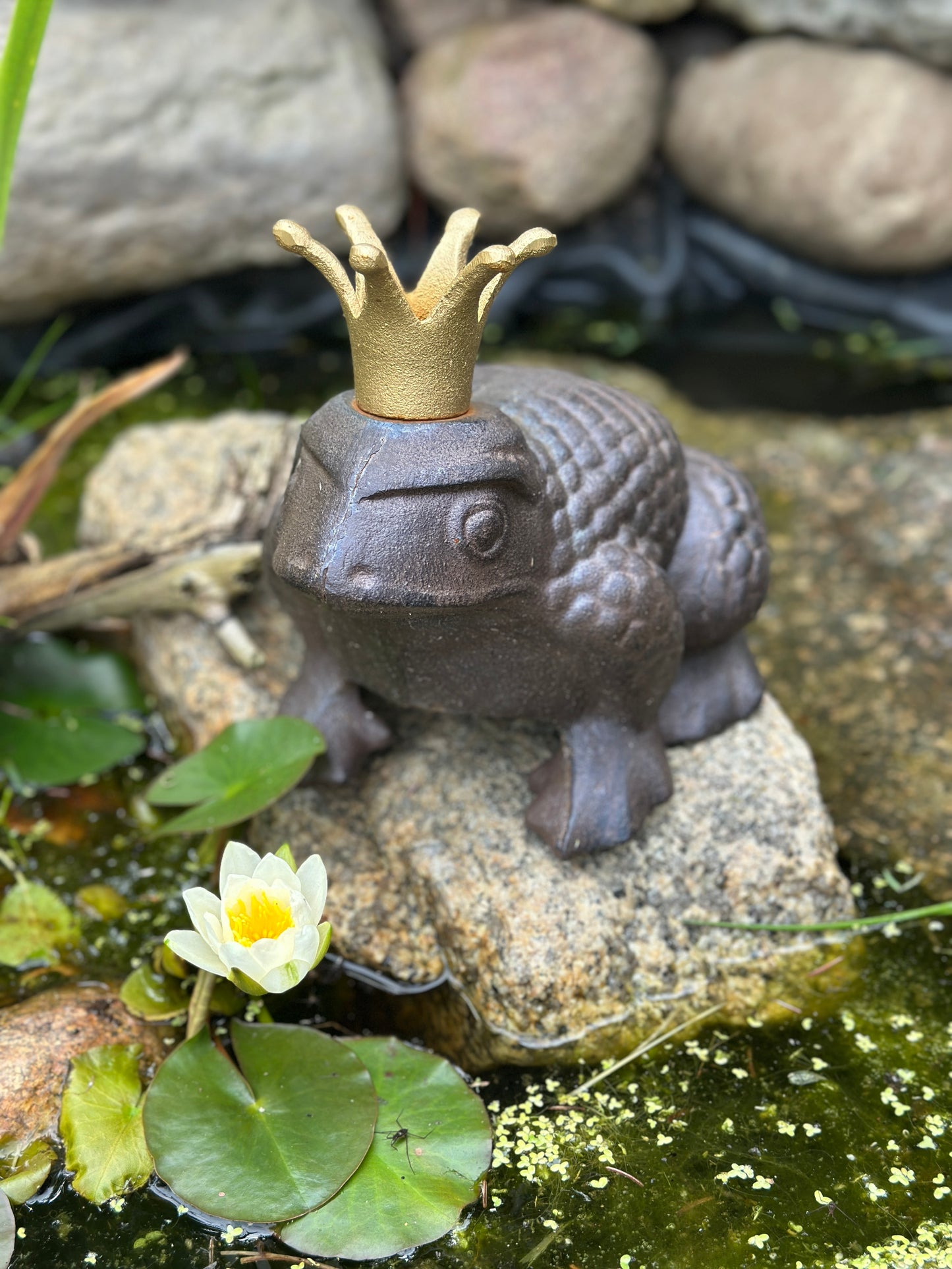 Frosch aus Gusseisen mit goldener Krone Gartenfigur Antik- braun. Rost