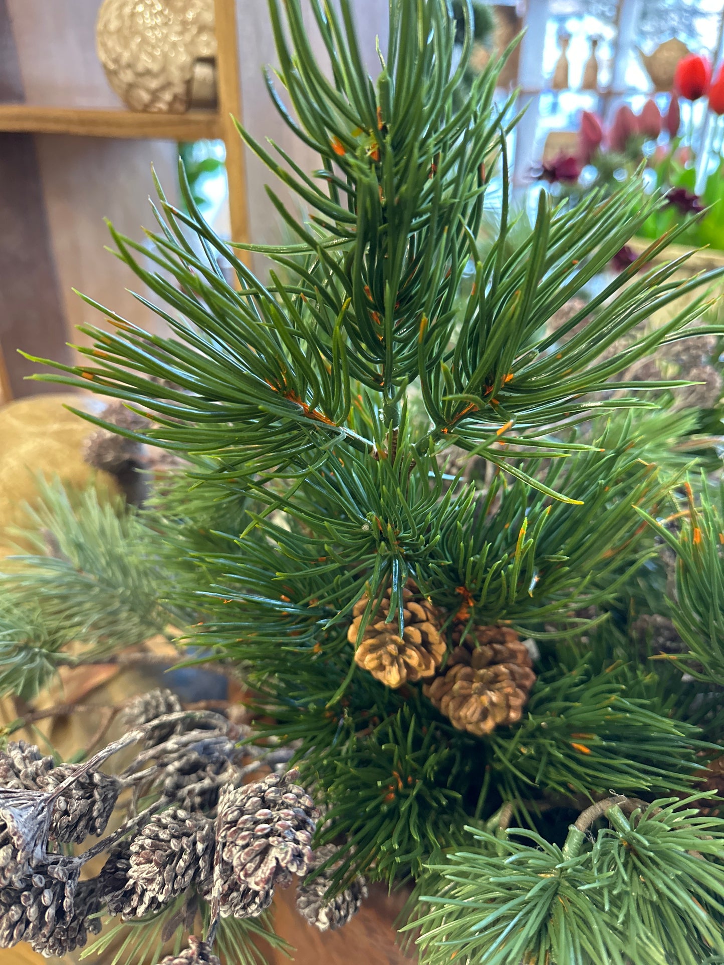 Grüner Kunst Zweig mit zwei Zapfen