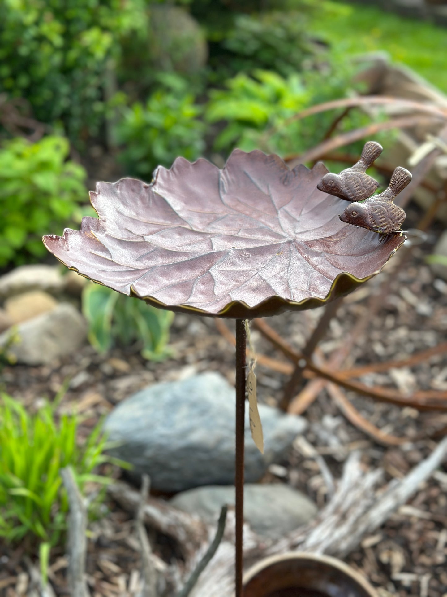 Blatt/ Vogelfutterhalter/ Stecker/ Wassertränke