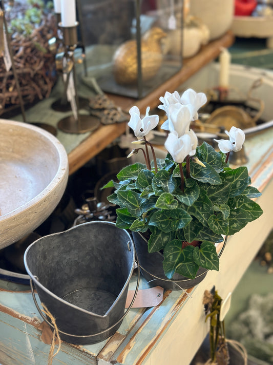 Metall Eimer Herz mit einem Griff