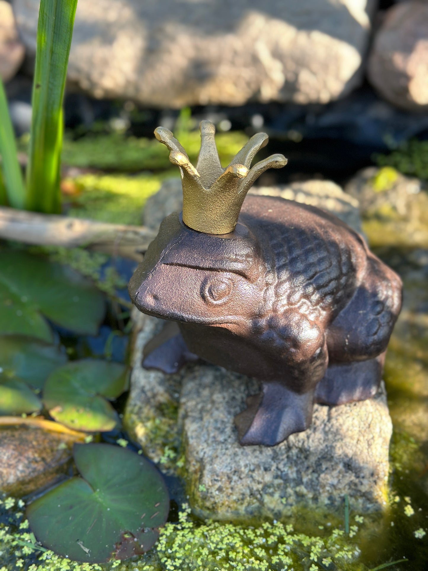 Deko Frosch mit Krone