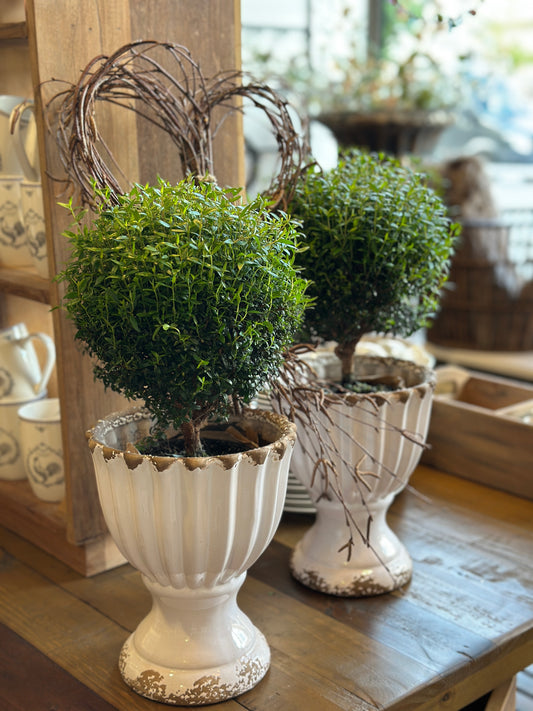 Blumentopf /Übertopf, Steingut Shabby