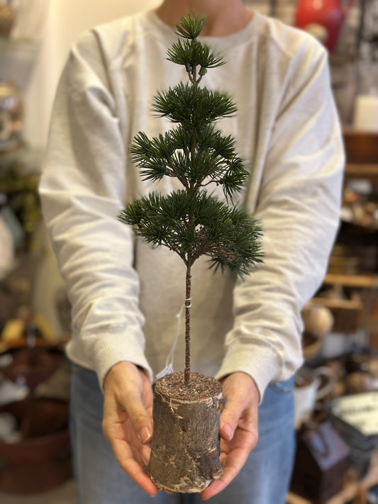 Deko/ Baum Dekoration, Kunst 🌲