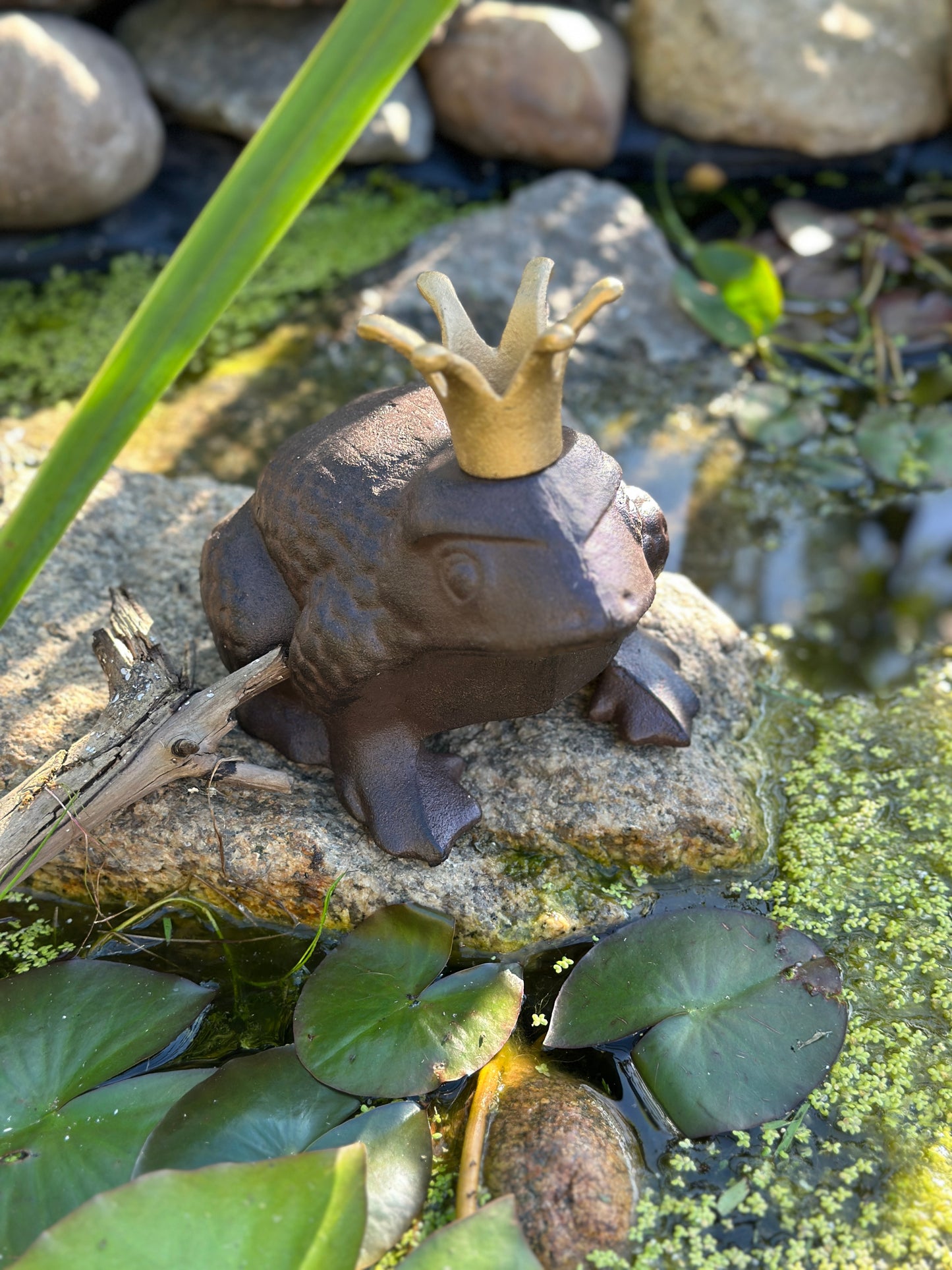 Deko Frosch mit Krone