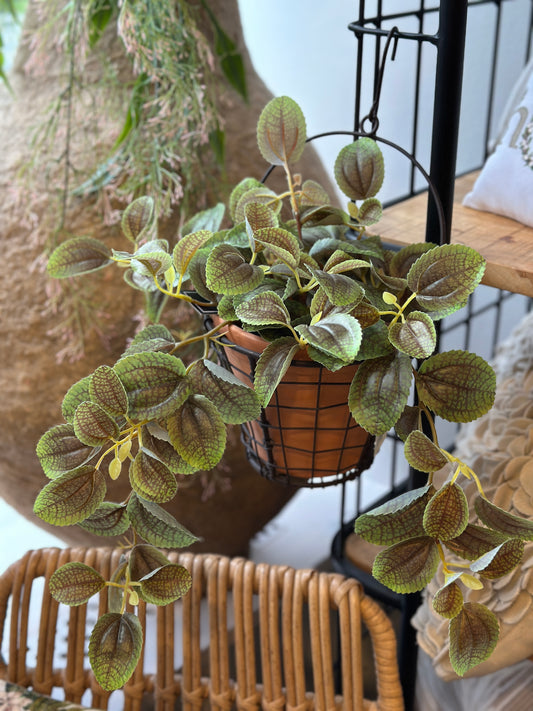 Blumentopf/ Hängetopf