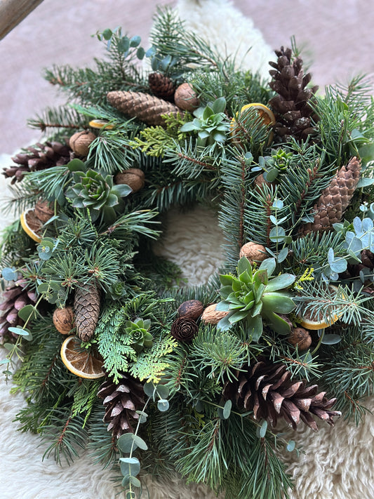 Kranz, echtes Grün. Mit Sukkulenten. Aus Tannengrün, Eukalyptus mit Zapfen und echten Walnüssen.
