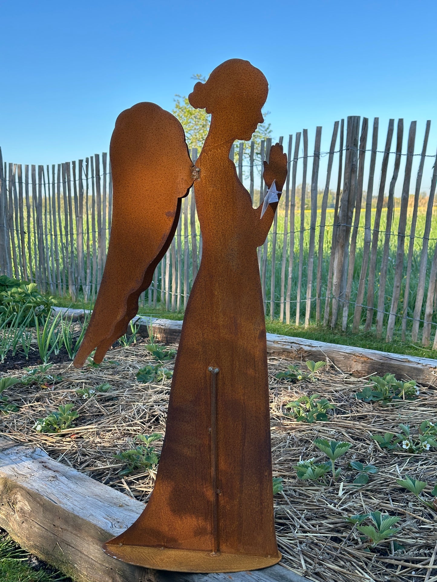 Engel aus Metall/ Rost H: 78cm.