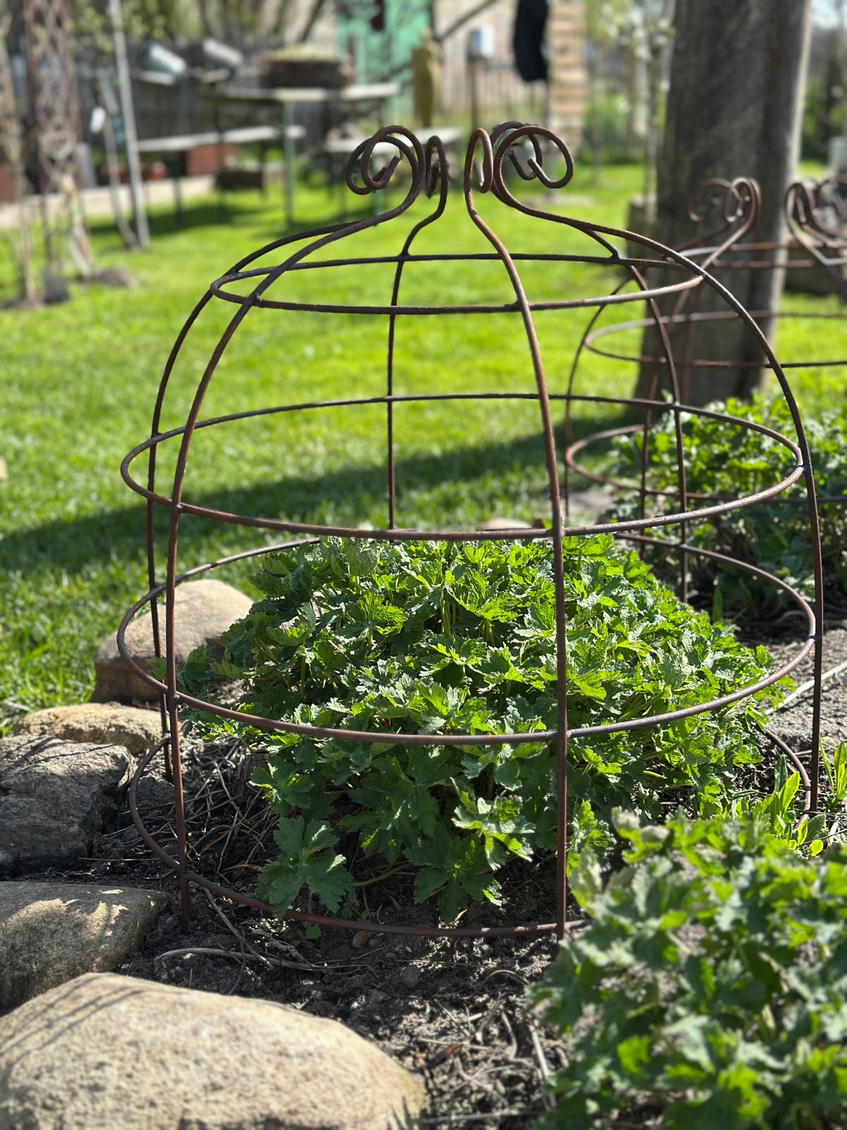 Rankkrone/ Rankhilfe Rost, Set/2