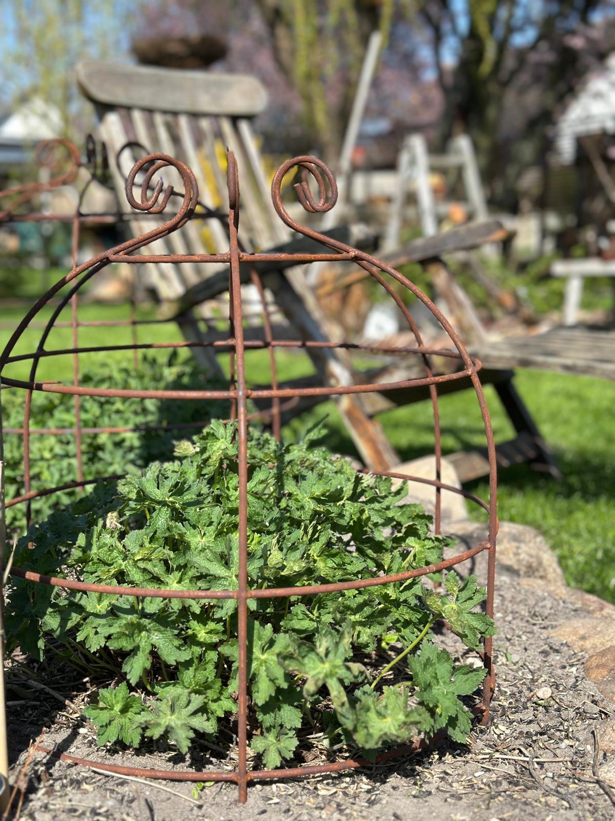 Rankkrone/ Rankhilfe Rost, Set/2