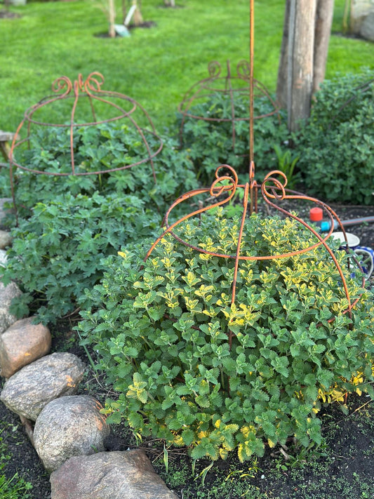 Rankkrone/ Rankhilfe Rost, Set/2