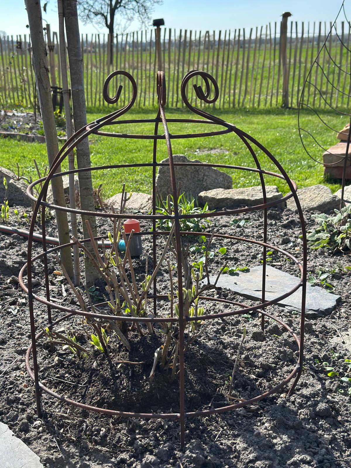 Rankkrone/ Rankhilfe Rost, Set/2