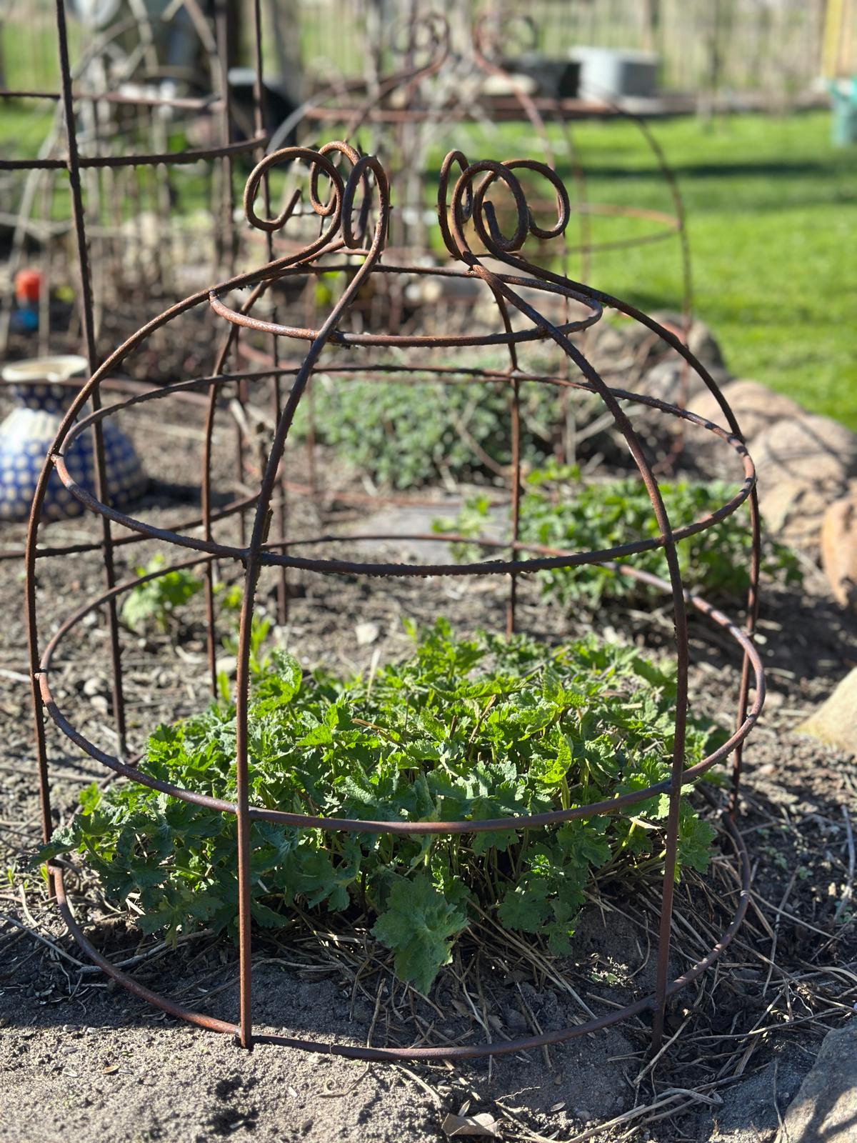 Rankkrone/ Rankhilfe Rost, Set/2