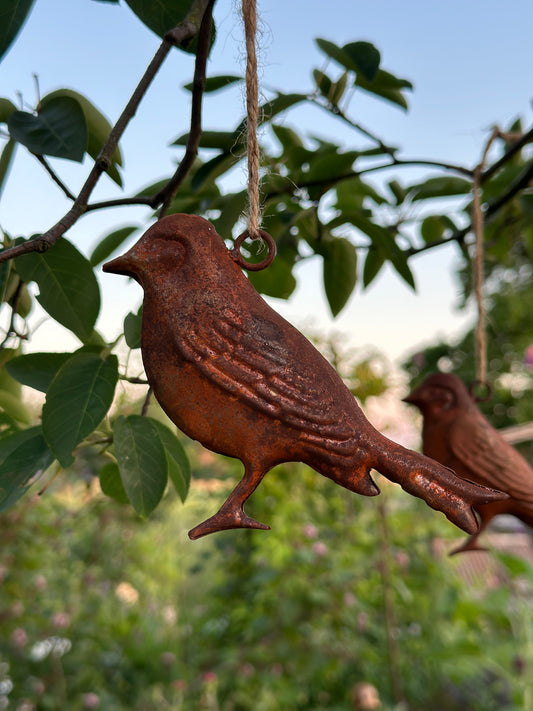 Vogel Rost zum hängen.